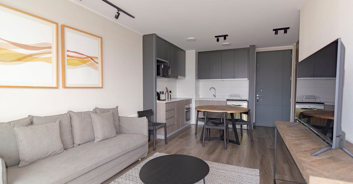 Elegant modern living space with grey couch, minimalist decor, and open kitchenette.